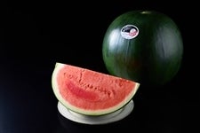 6001-GubL2.jpg