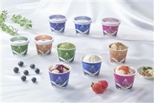 ���o�� �v���~�A���A�C�X�M�t�g 10��