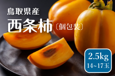 挧Y `i傤j  2.5kg