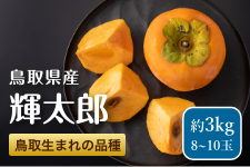 挧Y PY@`iRj
