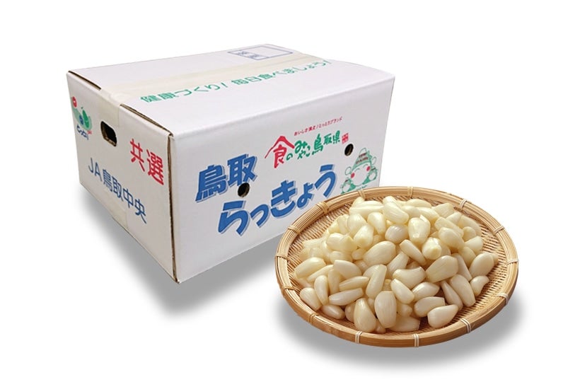 傤i􂢁jSTCY5kgi1kg×5ܓj