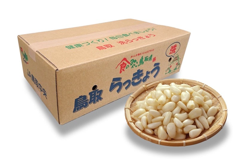 傤i􂢁jSTCY10kgi1kg×10ܓj