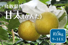  ���挧�Y �Ñ��i���񂽁j�� 5kg