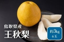 ���挧�Y ���H�� 3kg