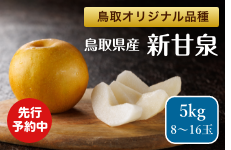 梨（なし）|【JAタウン】産地直送 通販 お取り寄せ