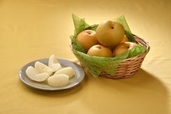 ご自宅用 新甘泉(しんかんせん)3kg【冷蔵貯蔵品】