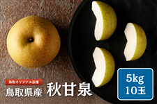 梨　新甘泉　10kg あきさん専用 秋甘泉（あきかんせん）梨 5kg（10玉）【冷蔵貯蔵品】: 全農とっとり