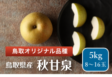 HÐi񂹂j@5kgi8`16ʁj