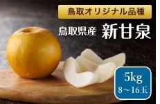VÐi񂩂񂹂j 5 [①i]