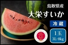 �y�①�����z���挧�Y�@��h���Z 3L�E1�ʁi��8kg�j