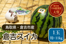 24時間以内売れなければ300円！スイカ大手作り額付作品「へい！お待ちニャンコ」 鳥取県 大玉 倉吉スイカ 特・1玉（約11kg）: 全農とっとり JAタウン店