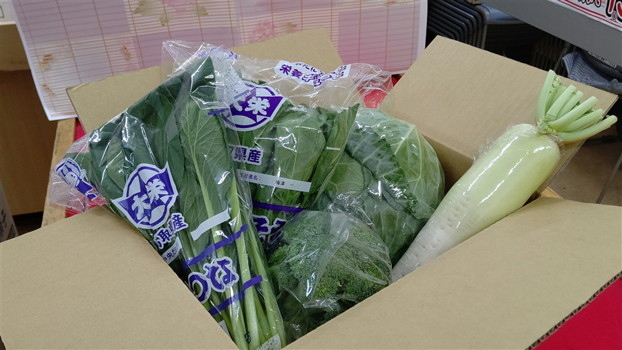 �u����Ă݂����؁v����̏{�̖�؋l�ߍ��킹BOX