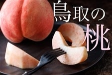 _ˁiǁj̓i11ʁ`13ʓj