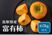 挧Y@xL`@3kg