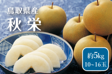 ���挧�Y�@�H�h�i�����΂��Ȃ��j���@�T����
