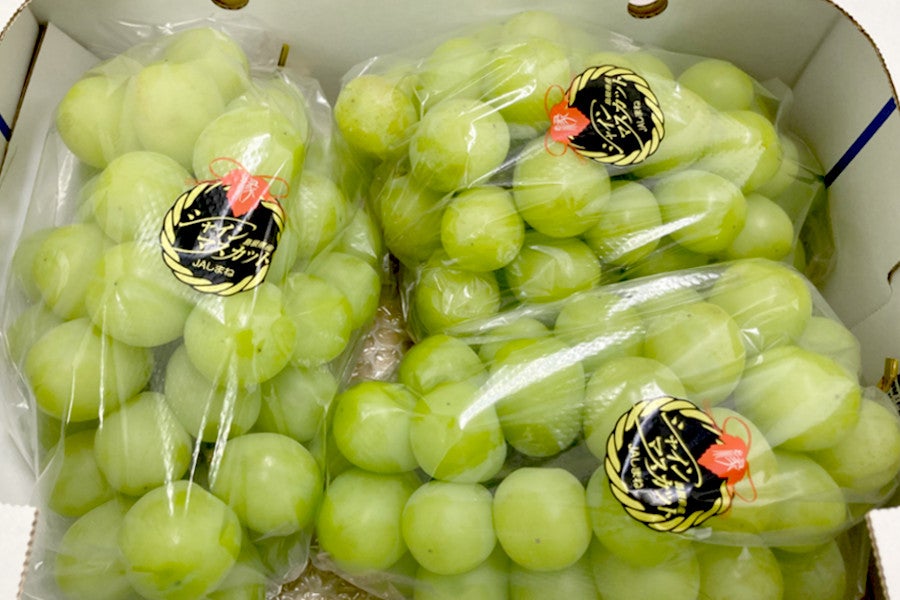 ご家庭用 島根県産 シャインマスカット 約2kg