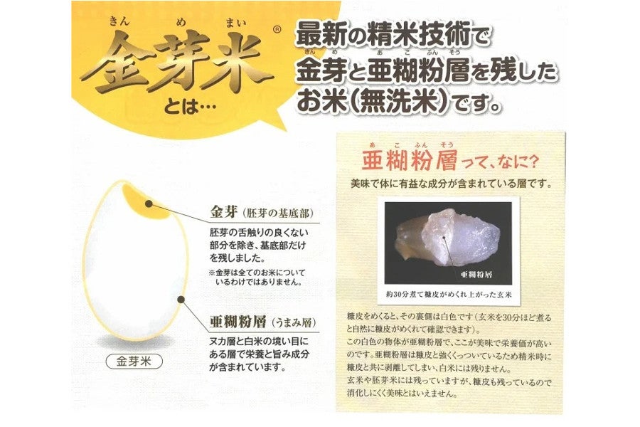 新米【10s】島根県産金芽米きぬむすめ(5kg×2)(令和7年産)