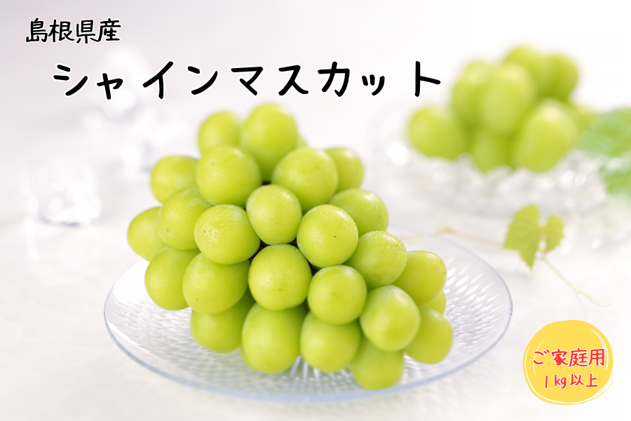 ⑨【島根県産】シャインマスカット約5キロ ご家庭用 島根県産 シャインマスカット1kg以上(2～3房）【リメンバー夏