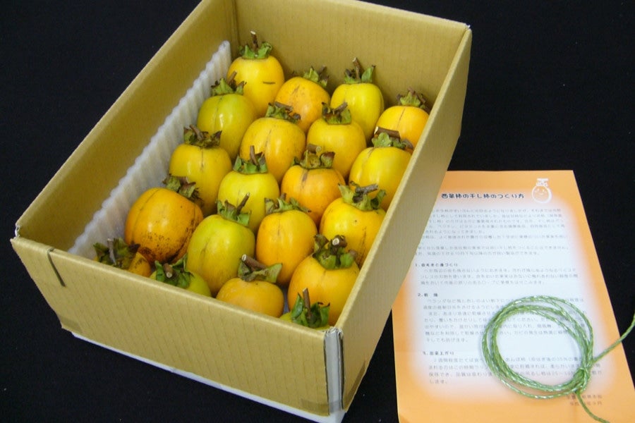 産地直送 通販 お取り寄せ枝付き西条柿（干し柿用渋柿） 10kg: しまね・うまいもんくらぶ|ＪＡタウン