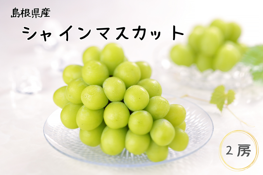 島根県産 シャインマスカット 2房（600g×2）: しまね