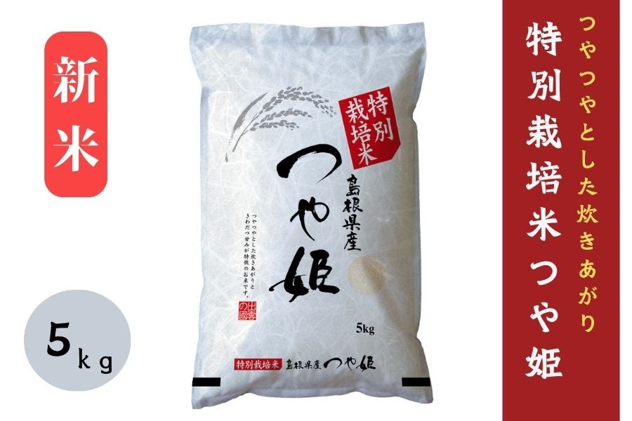 令和5年産 つや姫 お米 新米-