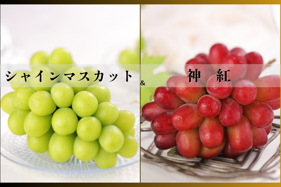 島根県産神紅（シンク）・シャインマスカットセット 各1房【リ