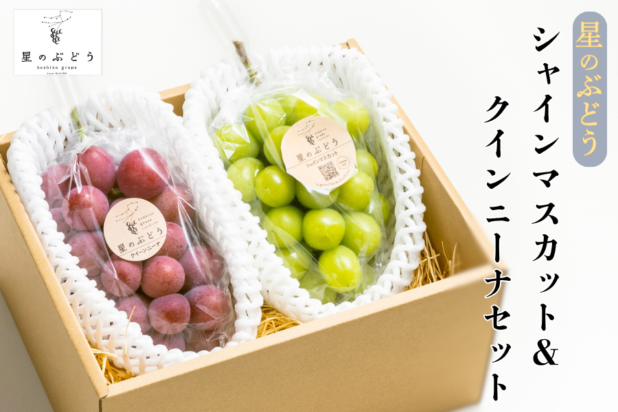 星のぶどう シャインマスカット＆クインニーナセット【ギフト箱入