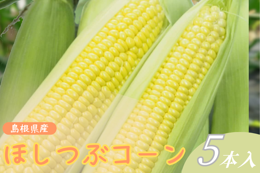島根県産 とうもろこし（ほしつぶコーン）5本: しまね・うまいもん