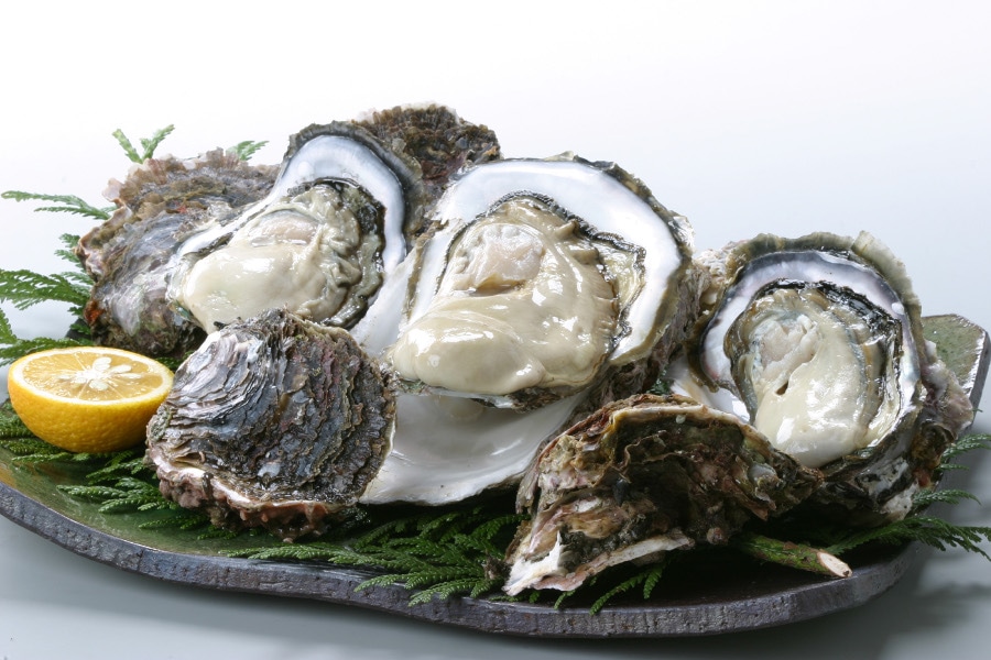 産地直送 通販 お取り寄せ 隠岐のいわがき 生食用 Mサイズ １０個 １個250ｇ 299ｇ しまね うまいもんくらぶ ｊａタウン