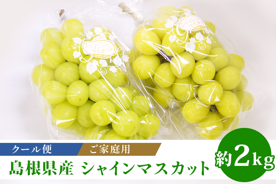 ⌄̈⃝さま専用　シャインマスカット　2kg