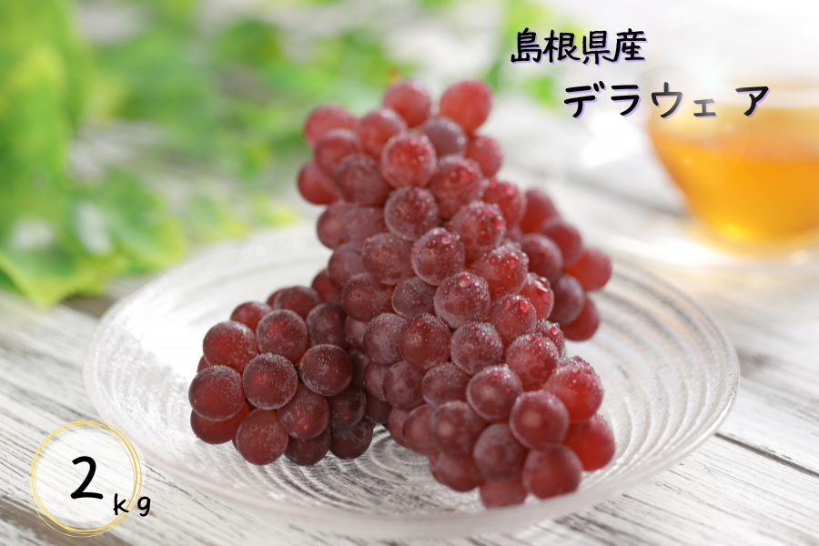 島根県産 デラウェア 2kg (秀)(4/27〜5/8発送)