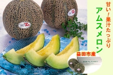 �������v�c�s�Y �A���X������ 5kg�� �G