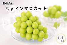 Y VC}XJbg 1.8kg