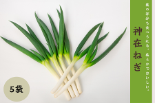 �_�b�̍��@�o�_�@�_�݁i���݂���j�˂��@�`�t�̕������H�ׂ���I�`�@10�`15�{����