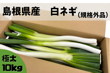 �������Y�@���˂��i�K�i�O�j�@10kg