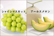 �y�������z �������Y �V���C���}�X�J�b�g���A�[���X�������Z�b�g