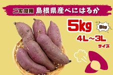 ƒp܂@Yׂɂ͂邩@Ts