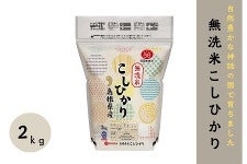 �y4�s�z�����Ă����Ђ��� �i�������Y�j2kg×2�i�ߘa7�N�Y�j