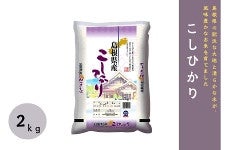 �y4kg�z�������Y�����Ђ��� 2�s×2�i�ߘa7�N�Y�j