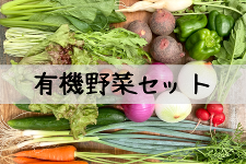 �������Y�L�@��؃Z�b�g�@���܂���7�`�W���