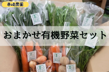 串﨑農園おまかせ有機野菜セット: しまね・うまいもんくらぶ|【JA