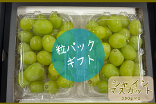 シャインマスカット16パック入り 島根県産シャインマスカット 300g粒パック×2: しまね・うまいもん