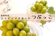 �������Y �V���C���}�X�J�b�g �Ԃ����@1�s