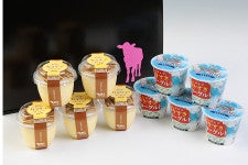 【お中元】 木次乳業 プリン・ヨーグルトセット 各5個入り