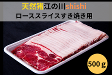 VR]̐shishi[XXCXĂp