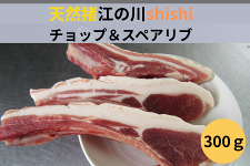 VR]̐shishi`bvXyAu