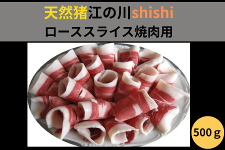 VR]̐shishi[XXCXēp