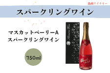 y̓zSW-SPA }XJbgEx[`@Xp[NOCi[j@750ml