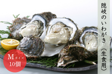 �y��̓��z�B��̂��킪�� �i���H�p�jM�T�C�Y 10�i1��250���`299���j