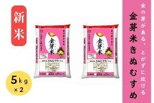 新米【10s】島根県産金芽米きぬむすめ(5kg×2)(令和7年産)